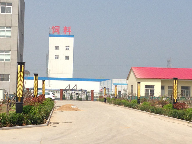 ɽ�|���^��